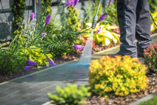 Best Warehouse Cleaning  in Onalaska, WI